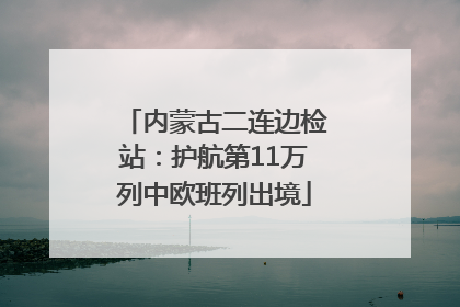 内蒙古二连边检站：护航第11万列中欧班列出境
