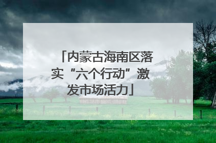 内蒙古海南区落实“六个行动”激发市场活力