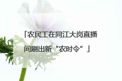 农民工在同江大岗直播间刷出新“农时令”