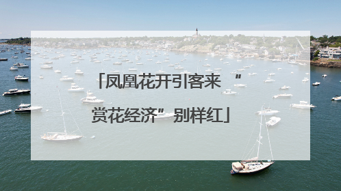 凤凰花开引客来 “赏花经济”别样红