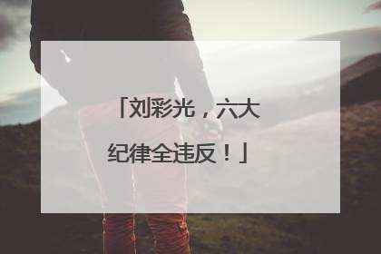 刘彩光，六大纪律全违反！