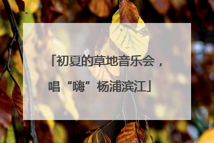 初夏的草地音乐会，唱“嗨”杨浦滨江