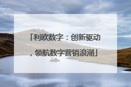 利欧数字：创新驱动，领航数字营销浪潮