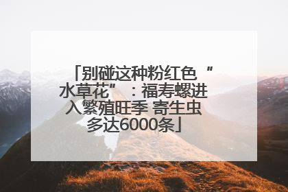 别碰这种粉红色“水草花”：福寿螺进入繁殖旺季 寄生虫多达6000条