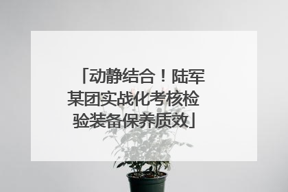 动静结合！陆军某团实战化考核检验装备保养质效