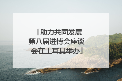 助力共同发展 第八届进博会座谈会在土耳其举办