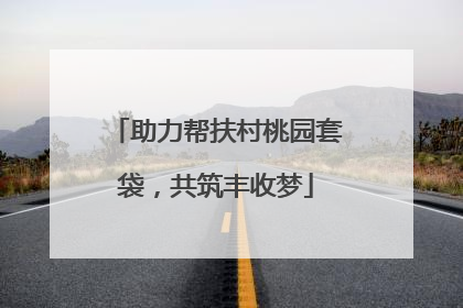 助力帮扶村桃园套袋，共筑丰收梦