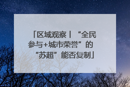 区域观察丨“全民参与+城市荣誉”的“苏超”能否复制