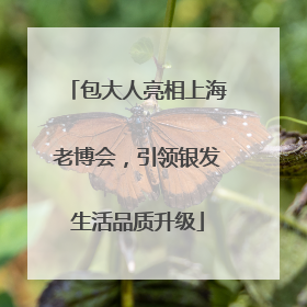 包大人亮相上海老博会，引领银发生活品质升级