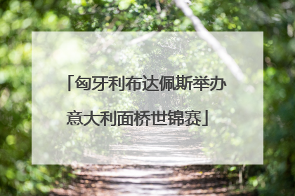 匈牙利布达佩斯举办意大利面桥世锦赛