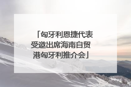 匈牙利恩捷代表受邀出席海南自贸港匈牙利推介会