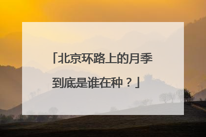 北京环路上的月季到底是谁在种？
