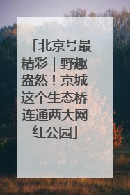 北京号最精彩｜野趣盎然！京城这个生态桥连通两大网红公园