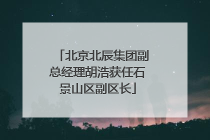 北京北辰集团副总经理胡浩获任石景山区副区长
