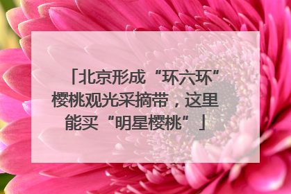 北京形成“环六环”樱桃观光采摘带，这里能买“明星樱桃”