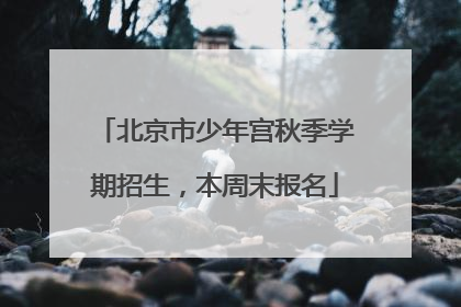 北京市少年宫秋季学期招生，本周末报名