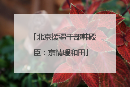 北京援疆干部韩殿臣：京情暖和田