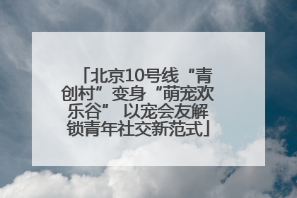 北京10号线“青创村”变身“萌宠欢乐谷” 以宠会友解锁青年社交新范式