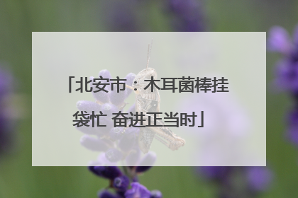 北安市：木耳菌棒挂袋忙 奋进正当时