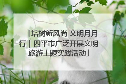 培树新风尚 文明月月行｜四平市广泛开展文明旅游主题实践活动