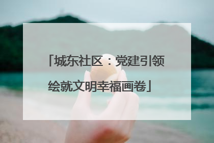 城东社区：党建引领绘就文明幸福画卷