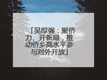 吴厚强：聚侨力、开新局，推动侨乡高水平参与对外开放