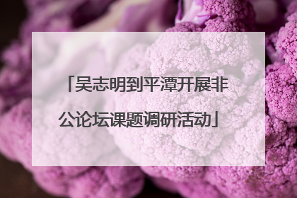 吴志明到平潭开展非公论坛课题调研活动