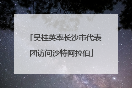 吴桂英率长沙市代表团访问沙特阿拉伯
