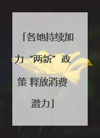 各地持续加力“两新”政策 释放消费潜力