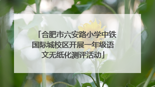 合肥市六安路小学中铁国际城校区开展一年级语文无纸化测评活动
