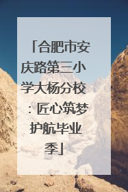 合肥市安庆路第三小学大杨分校：匠心筑梦 护航毕业季