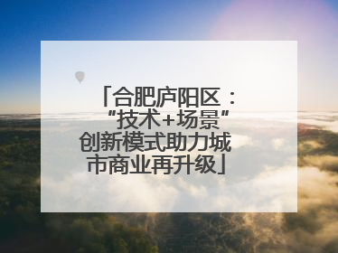 合肥庐阳区：“技术+场景”创新模式助力城市商业再升级