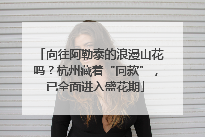 向往阿勒泰的浪漫山花吗？杭州藏着“同款”，已全面进入盛花期