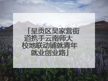 呈贡区吴家营街道携手云南师大 校地联动铺就青年就业创业路