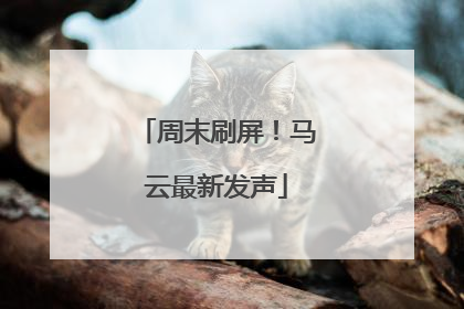 周末刷屏！马云最新发声
