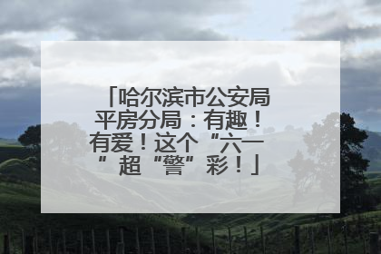 哈尔滨市公安局平房分局：有趣！有爱！这个“六一”超“警”彩！