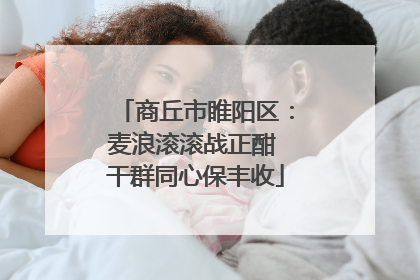 商丘市睢阳区：麦浪滚滚战正酣 干群同心保丰收