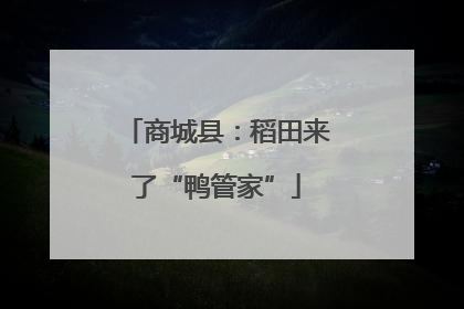 商城县：稻田来了“鸭管家”