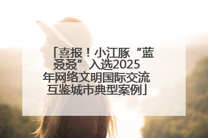 喜报！小江豚“蓝叒叒”入选2025年网络文明国际交流互鉴城市典型案例