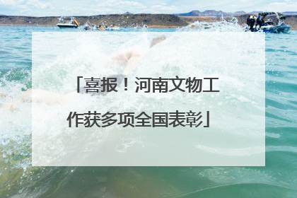 喜报！河南文物工作获多项全国表彰