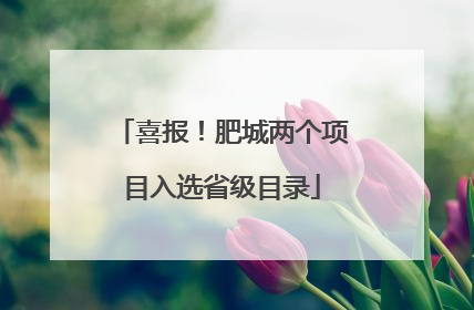 喜报！肥城两个项目入选省级目录