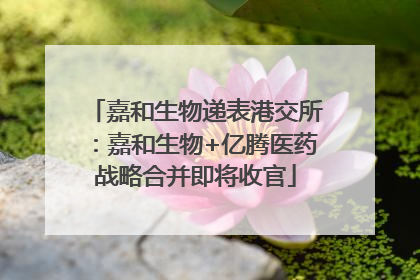 嘉和生物递表港交所：嘉和生物+亿腾医药战略合并即将收官