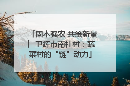 固本强农 共绘新景 ︳卫辉市南社村：蔬菜村的“链”动力