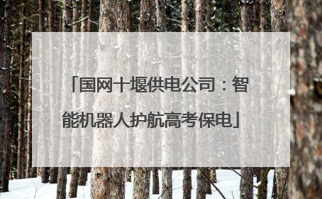 国网十堰供电公司：智能机器人护航高考保电