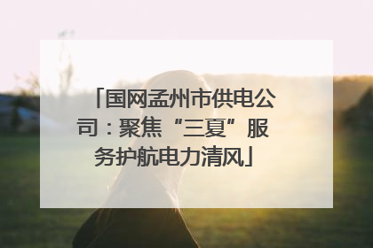 国网孟州市供电公司：聚焦“三夏”服务护航电力清风