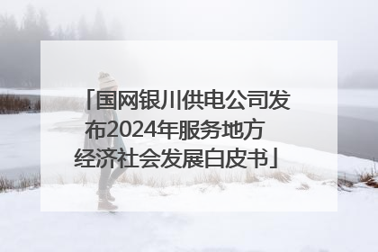 国网银川供电公司发布2024年服务地方经济社会发展白皮书