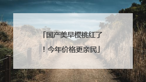 国产美早樱桃红了！今年价格更亲民