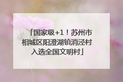 国家级+1！苏州市相城区阳澄湖镇消泾村入选全国文明村