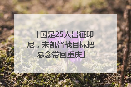 国足25人出征印尼，宋凯督战目标把悬念带回重庆