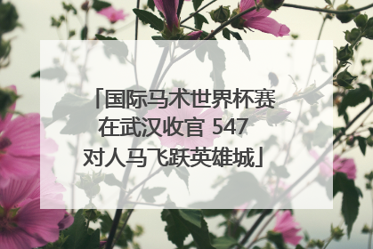 国际马术世界杯赛在武汉收官 547对人马飞跃英雄城